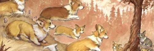 Marco Welsh Corgi banner