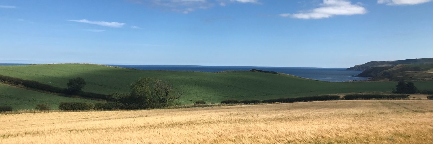 HannahWatsonSG's profile banner image