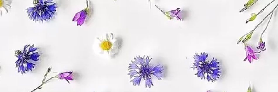 posuygj's profile banner image