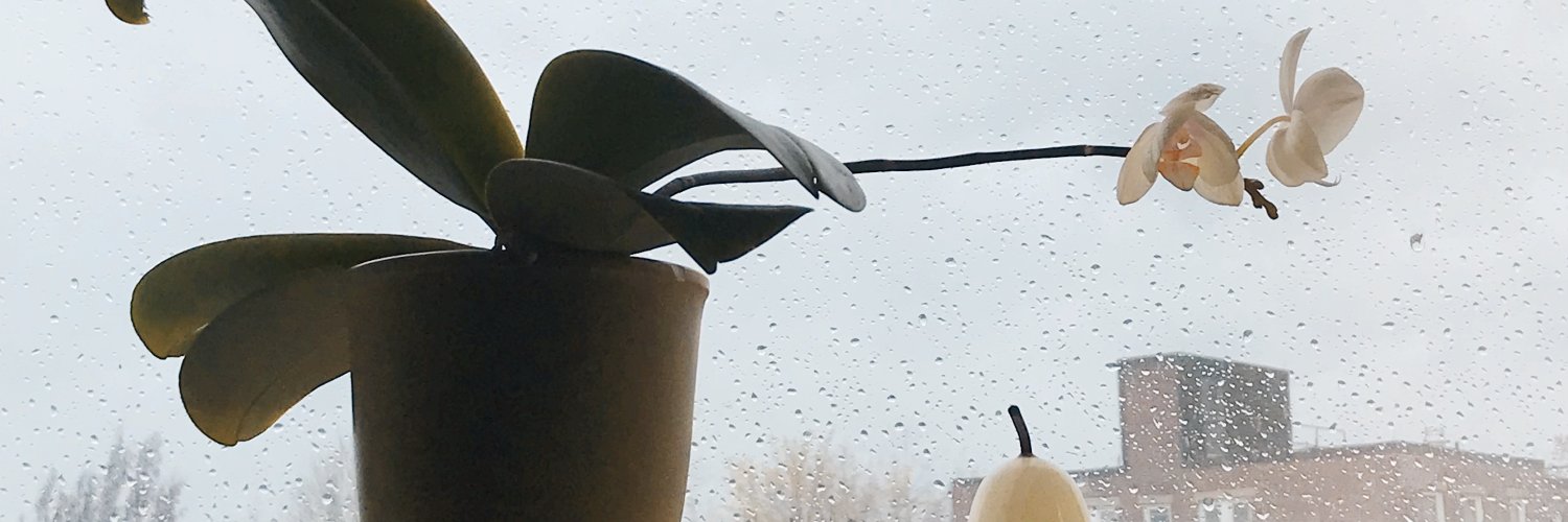 johnshakespear's profile banner image