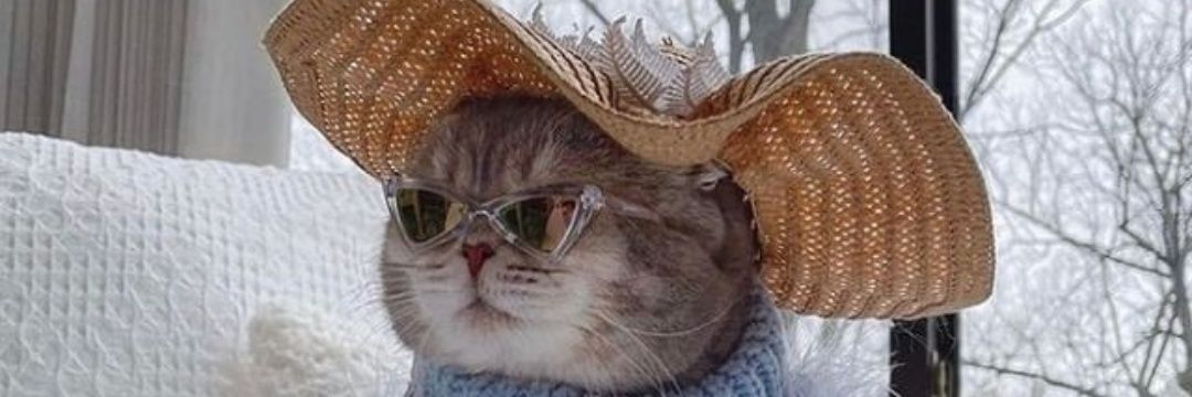 worldofpaty's profile banner image
