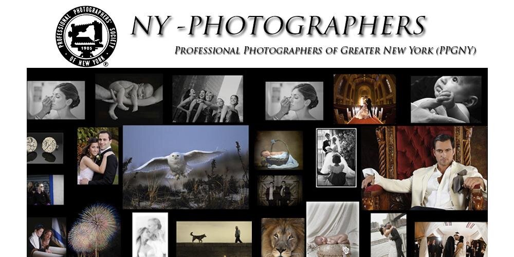 PPGNY's profile banner image