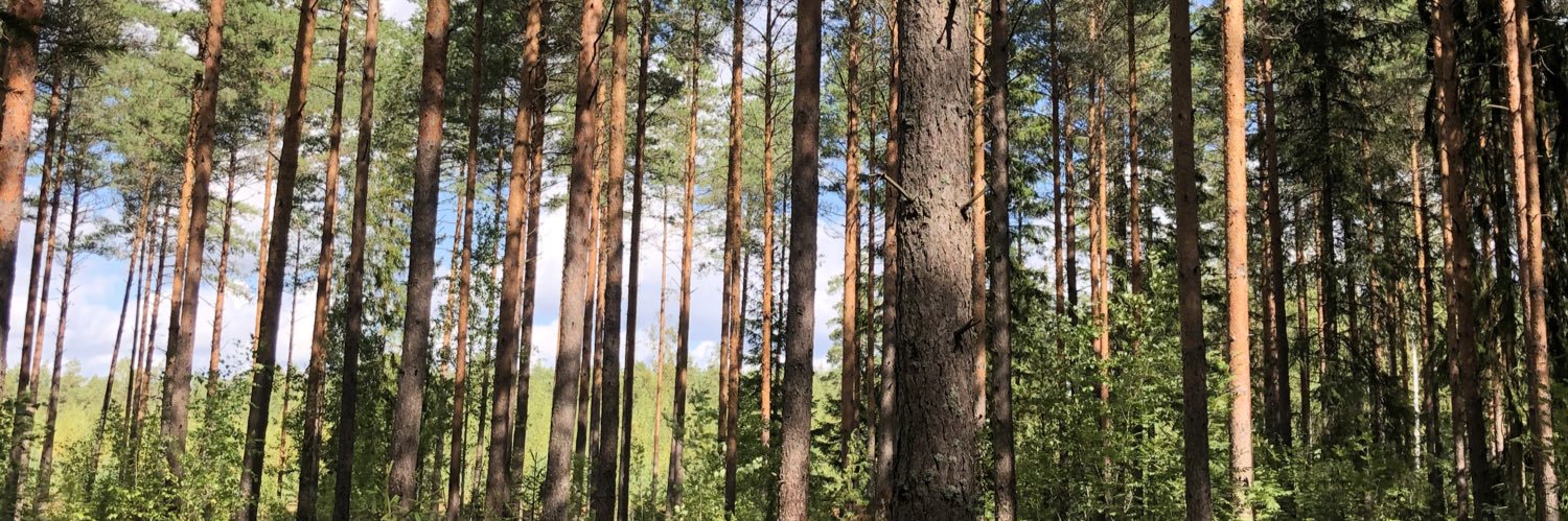 TiiaNevalainen's profile banner image