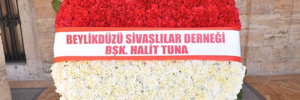 halittuna58's profile banner image