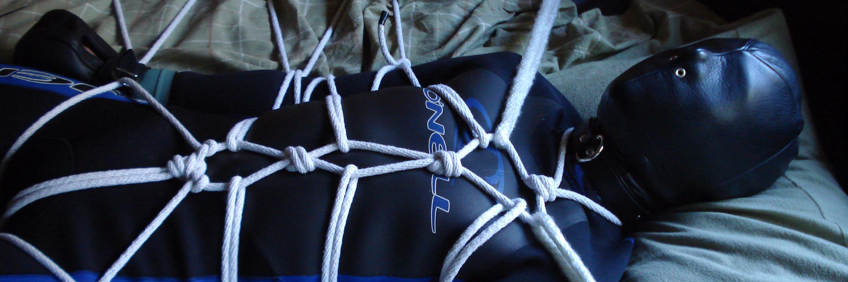 pup hubble banner