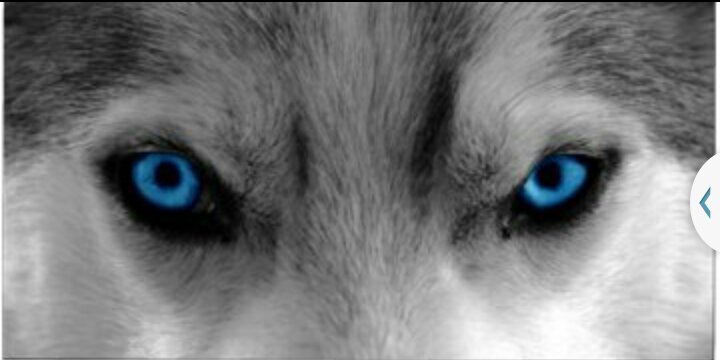 doo3omar's profile banner image