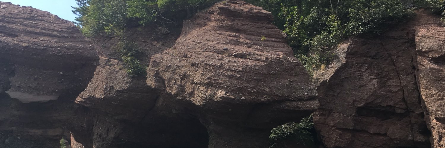 SandyjoneSandy's profile banner image