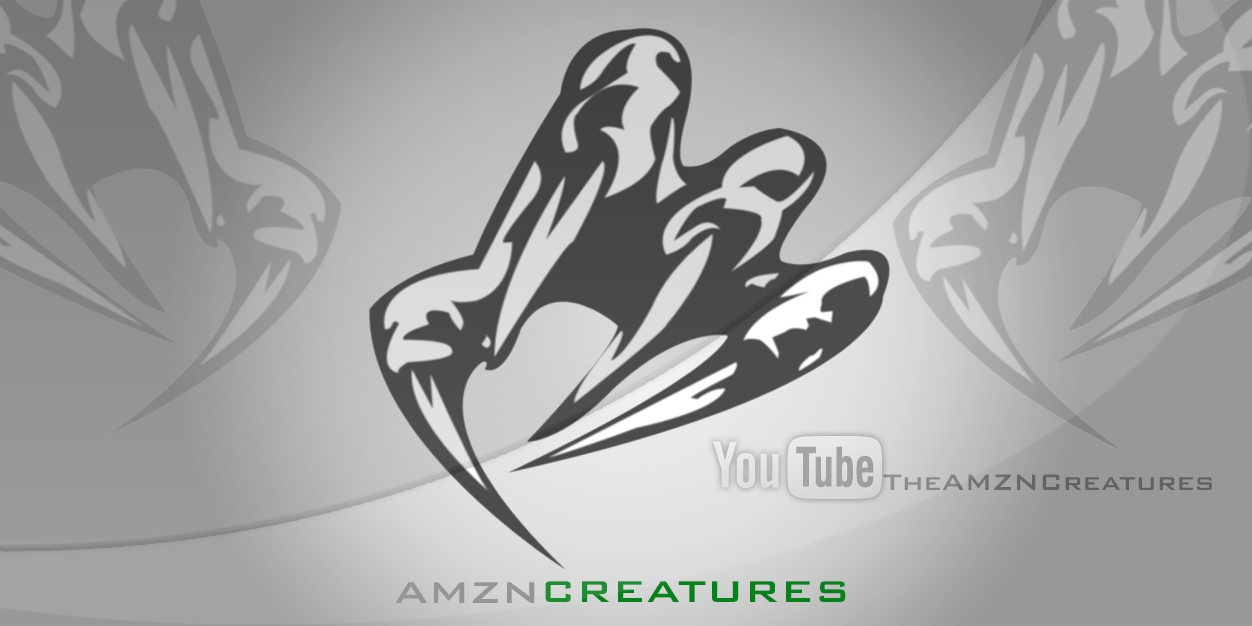 AMZN Creatures (@AMZNCreatures) / Posts / X