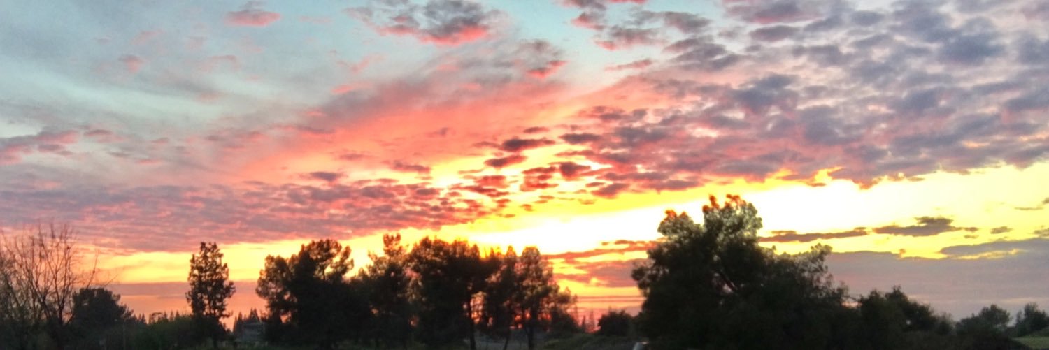 thegobbs_'s profile banner image