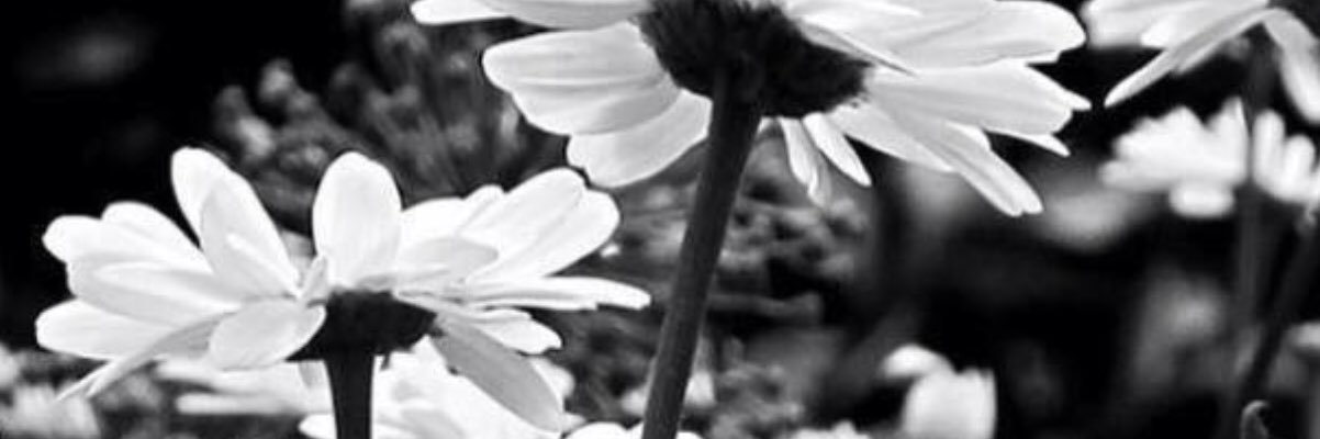 Tanya__Johnson's profile banner image