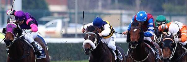 SMathrickracing's profile banner image
