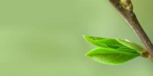 SSYuudistuu's profile banner image