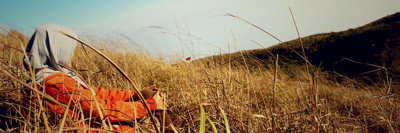 yp_lestari's profile banner image