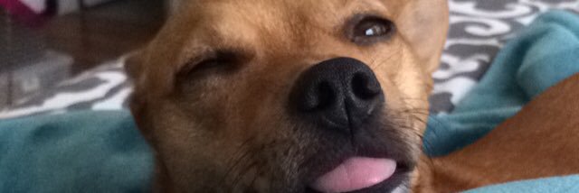 AlyssaMarie56's profile banner image