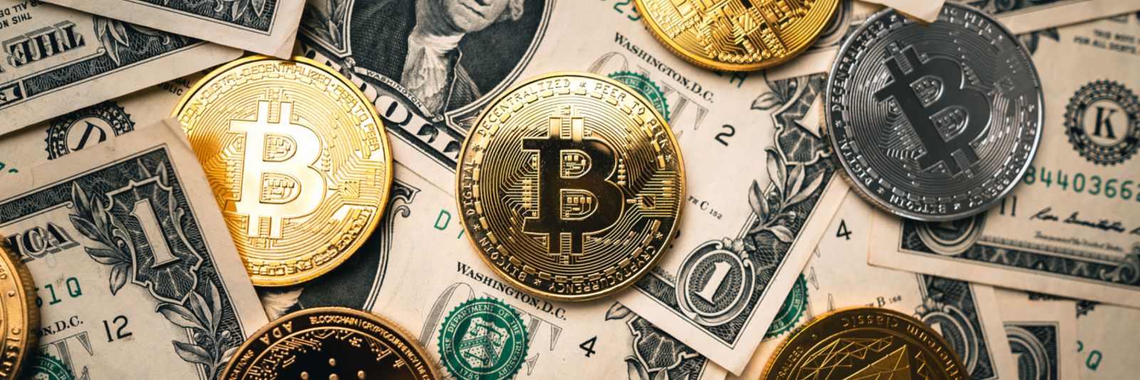 CryptoK_ing's profile banner image