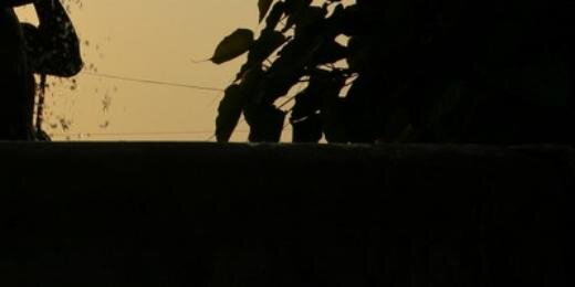 noch_l's profile banner image