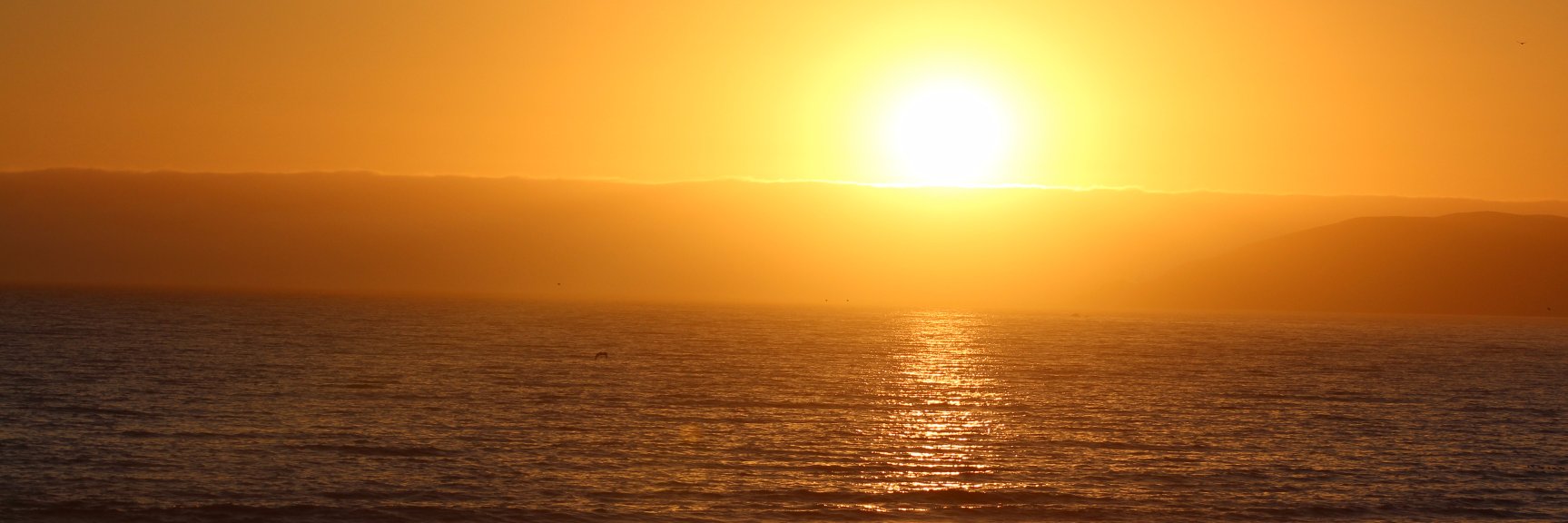 Sand3e3p's profile banner image