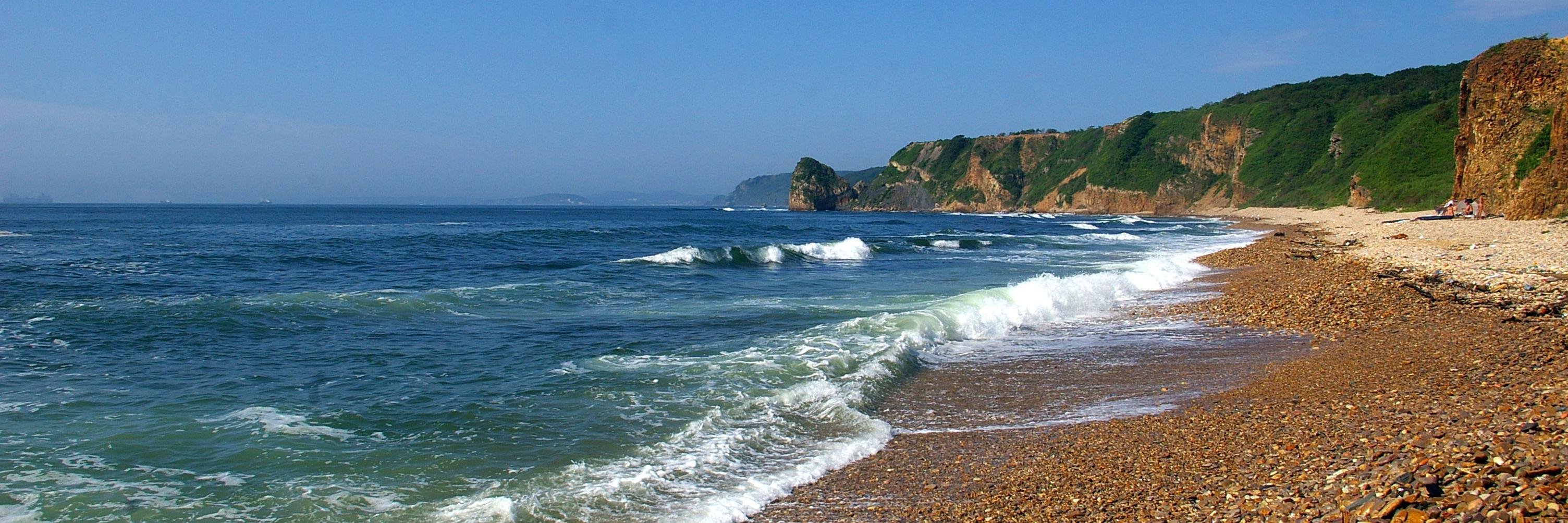 Бхактибуханта Свами Доупада banner