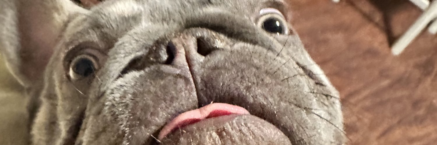 eddyedgarr's profile banner image