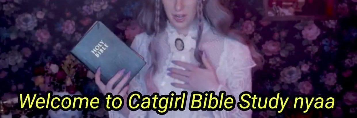 ar1_gato's profile banner image