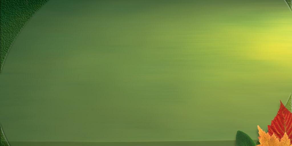127aggy's profile banner image