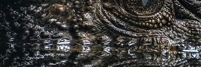 Dr. Amit Chaudhery banner