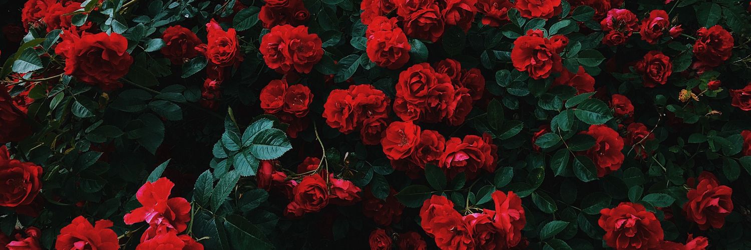 LeeHk528's profile banner image