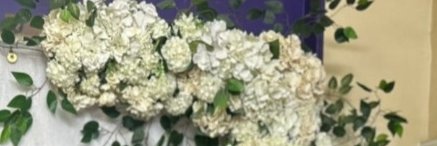 مارينا banner