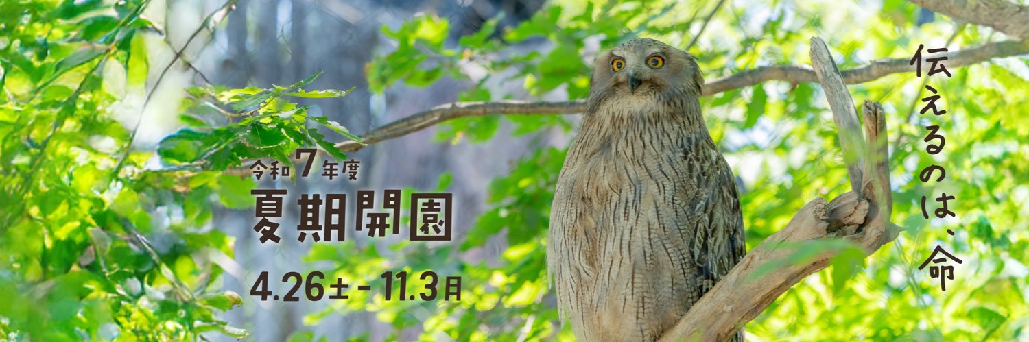 旭川市旭山動物園［公式］'s banner