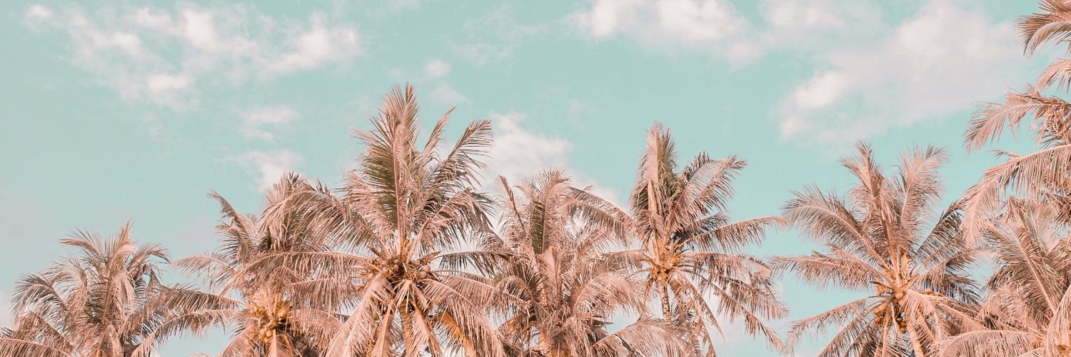 RAINBOW🌈 banner