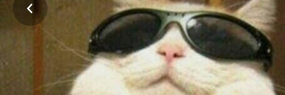 GZmral's profile banner image