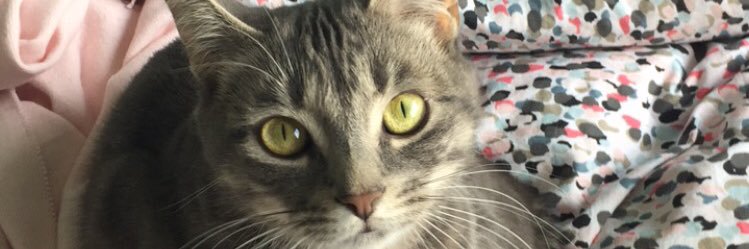 saraloder_'s profile banner image