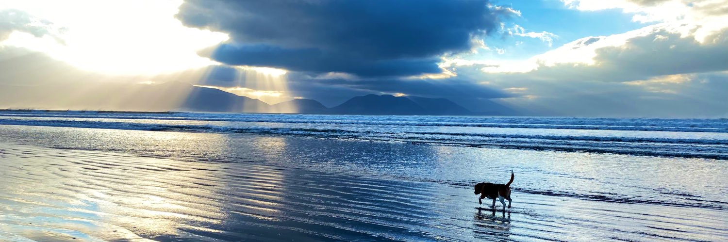 pfinane's profile banner image