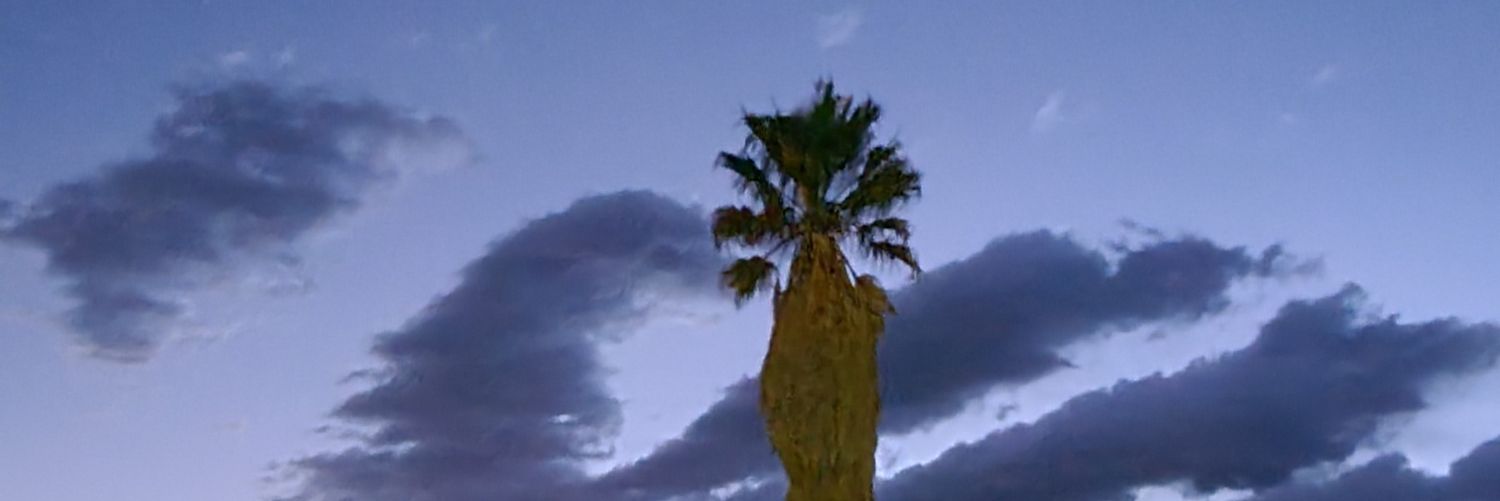 warriorhaze's profile banner image