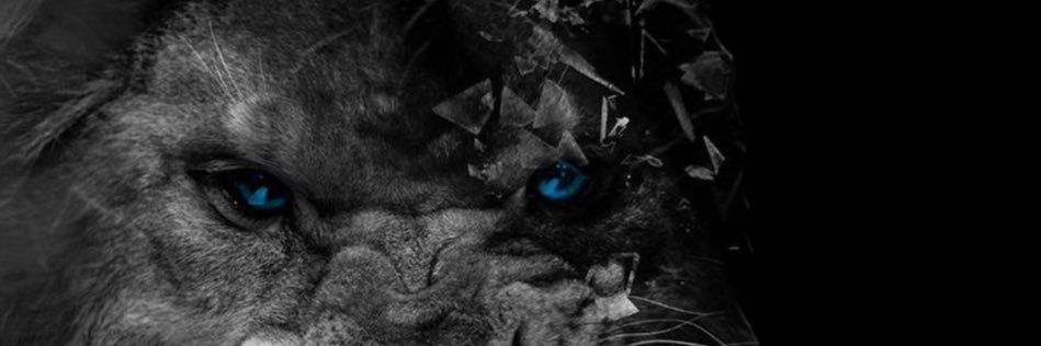 Bruce Gradkowski banner