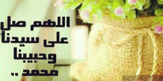 roza_12345's profile banner image