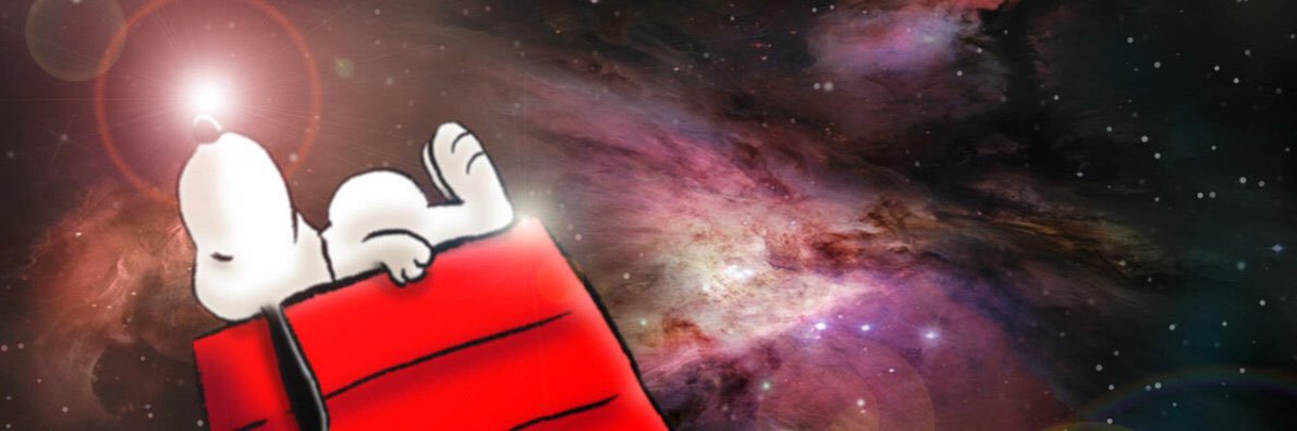 snoopyanalyst's profile banner image