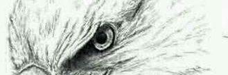 cmert7440's profile banner image