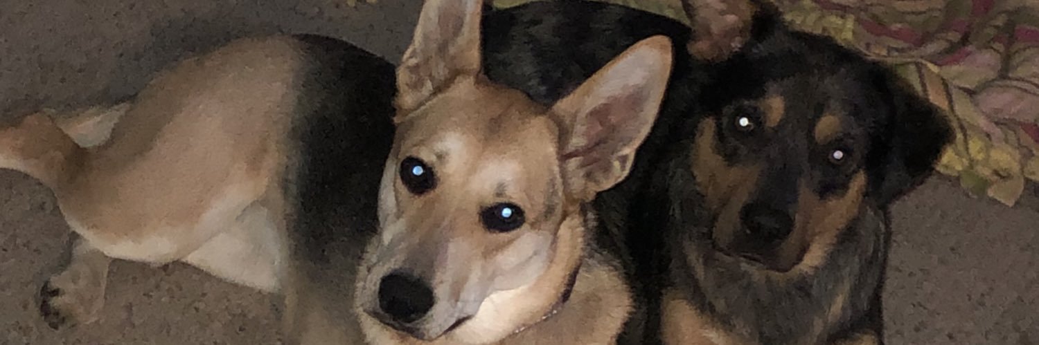 ciannone22's profile banner image