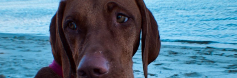 sofiiis13's profile banner image