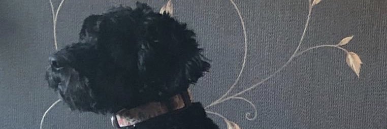 carole_proctor's profile banner image