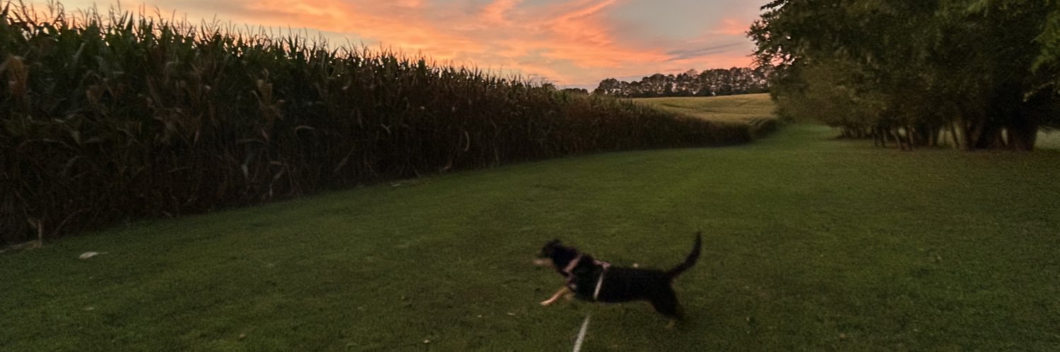 Andrea Verosko banner