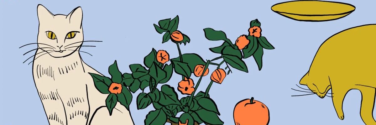 winnydpuh's profile banner image