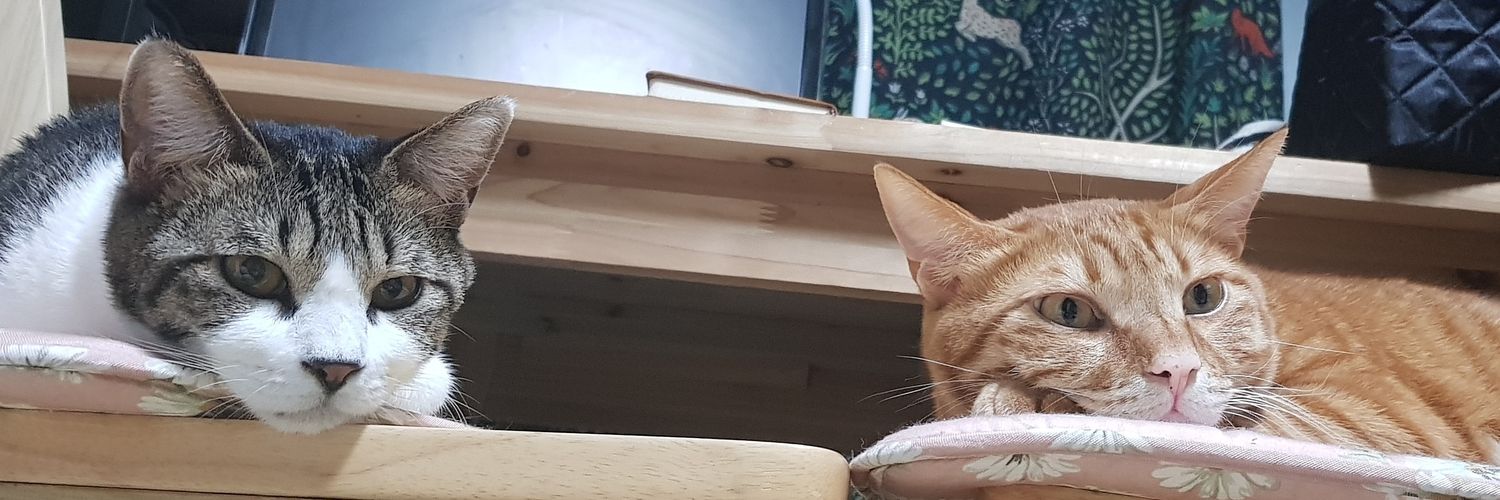 MulbamHouse's profile banner image