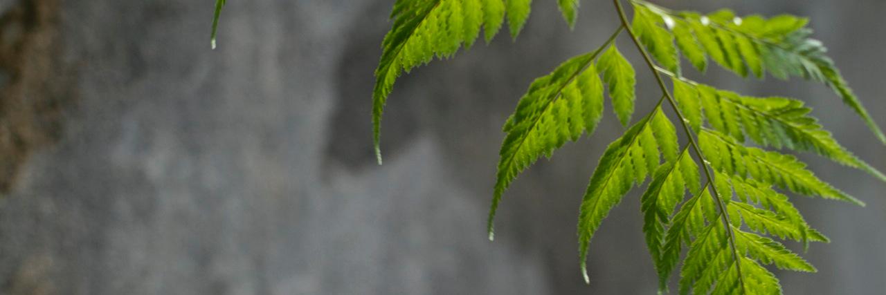 rawlensmedia's profile banner image