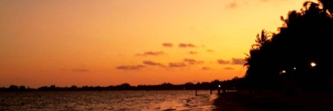 Angel_x_x_'s profile banner image