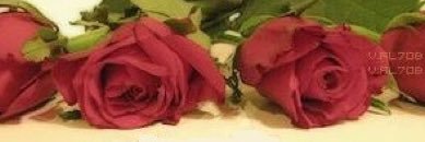 u_riyadh's profile banner image