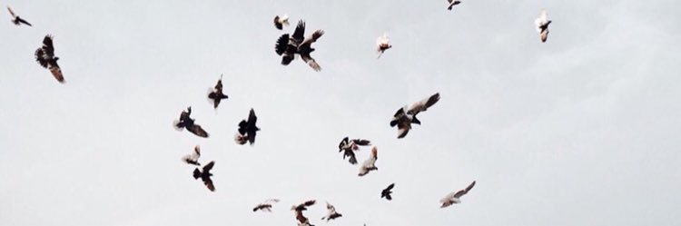 00__B2's profile banner image