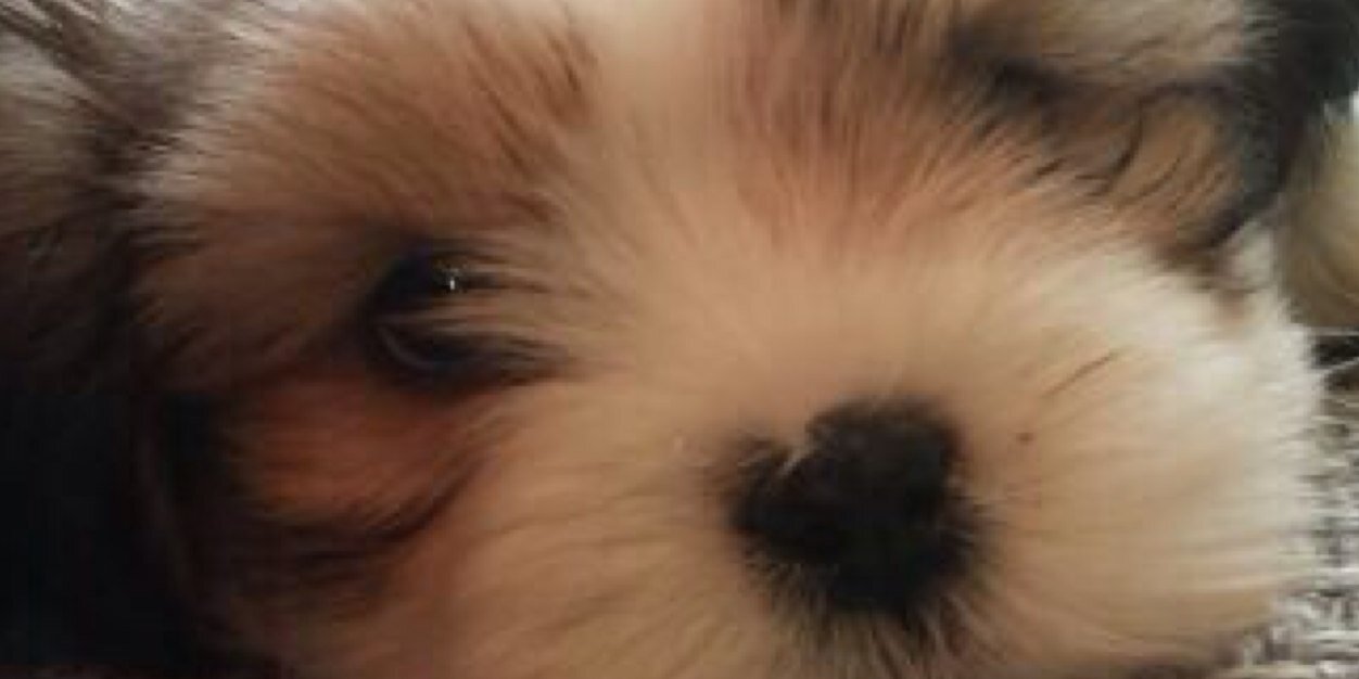 StopItGeorge's profile banner image