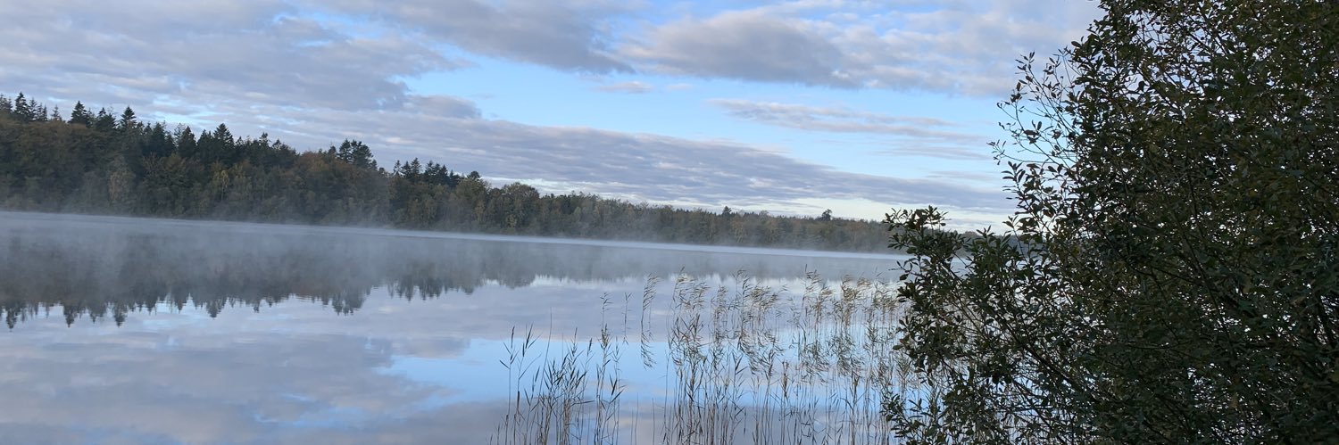 LotteBeeston's profile banner image